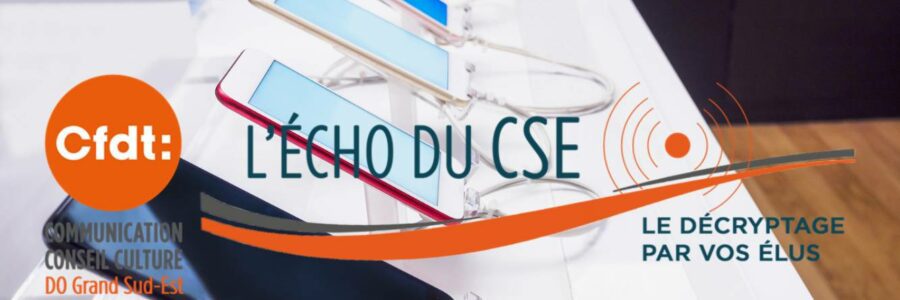 L’ECHO DU CSE 3