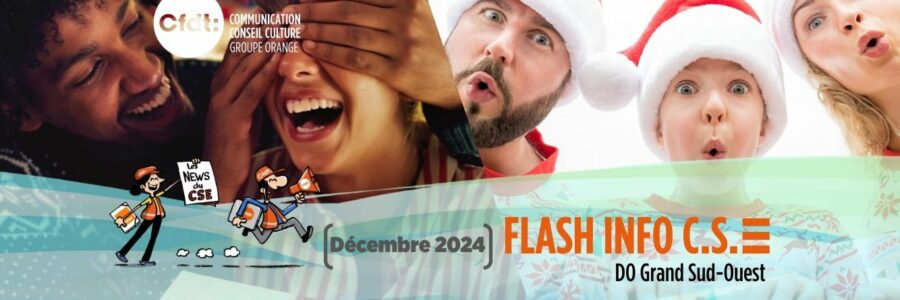 FLASH INFO DU CSE DOGSO 4