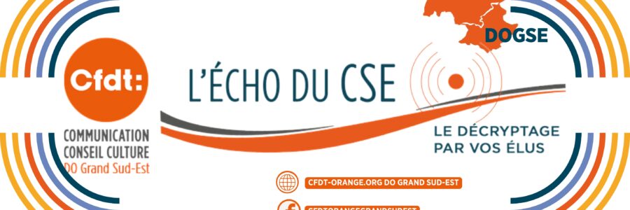 L’ECHO DU CSE 4  DOGSE